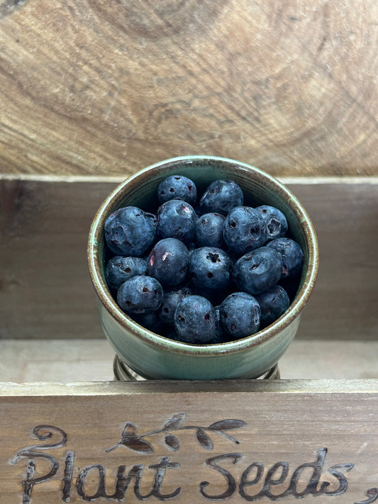 Blueberries (Whole) - Freeze Dried